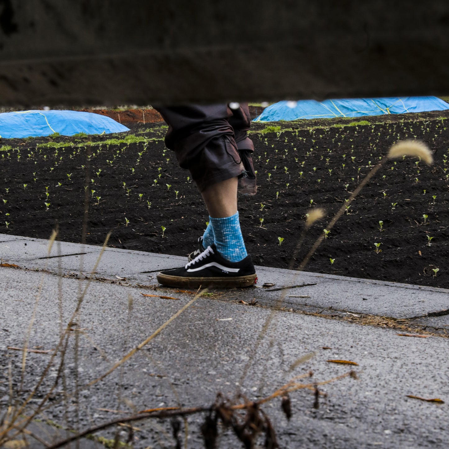 MUZE TURQUOISE LABEL - ×FUN 10th ANNIVERSARY SOX(TURQUOISE)ミューズ ファン ソックス ターコイズ
